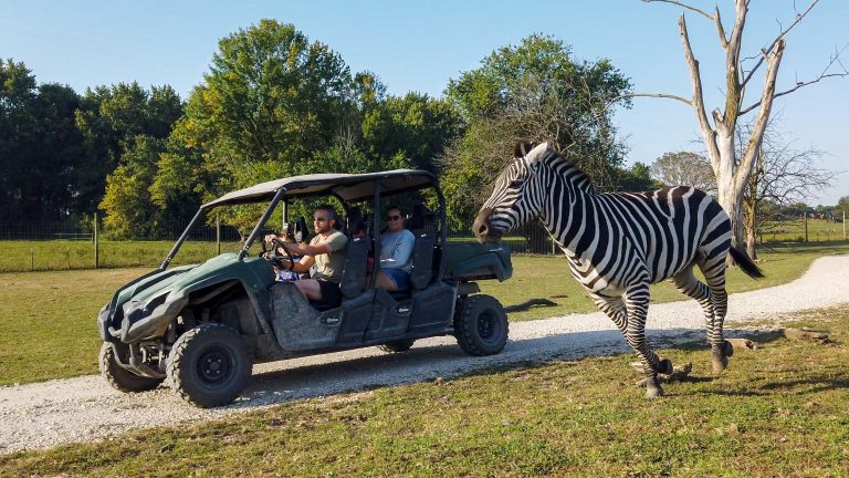 Front Cover1 768x432